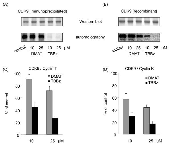 https://cdn.ncbi.nlm.nih.gov/pmc/blobs/d930/2824761/f8501446b7fc/1471-2199-11-4-5.jpg