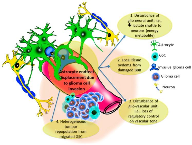 https://cdn.ncbi.nlm.nih.gov/pmc/blobs/d930/5713311/879e4dae7fa0/ijms-18-02342-g002.jpg