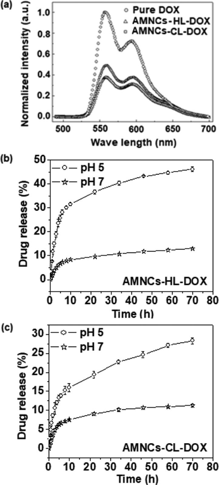 https://cdn.ncbi.nlm.nih.gov/pmc/blobs/d930/6682152/307d452bd786/ao-2019-01062h_0003.jpg