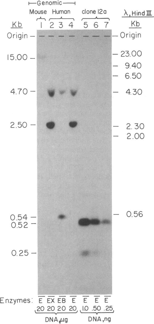 https://cdn.ncbi.nlm.nih.gov/pmc/blobs/d931/304913/84cdcd5b6c55/pnas00276-0029-b.jpg