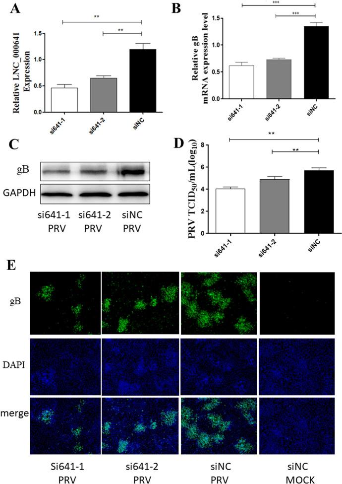 https://cdn.ncbi.nlm.nih.gov/pmc/blobs/d931/7992786/f53d38d924a9/13567_2021_922_Fig5_HTML.jpg