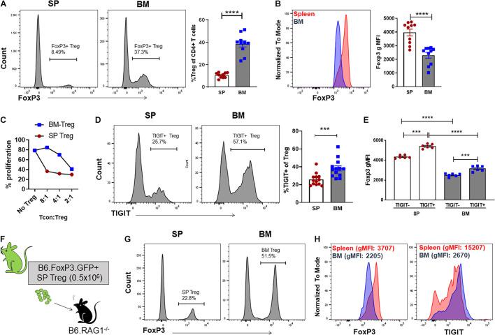 https://cdn.ncbi.nlm.nih.gov/pmc/blobs/d932/8493124/13ed429965ef/fcell-09-737880-g001.jpg