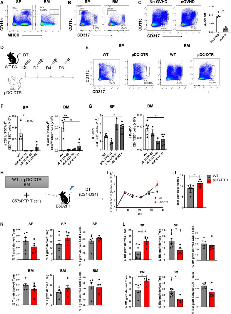 https://cdn.ncbi.nlm.nih.gov/pmc/blobs/d932/8493124/dd08451265bf/fcell-09-737880-g007.jpg