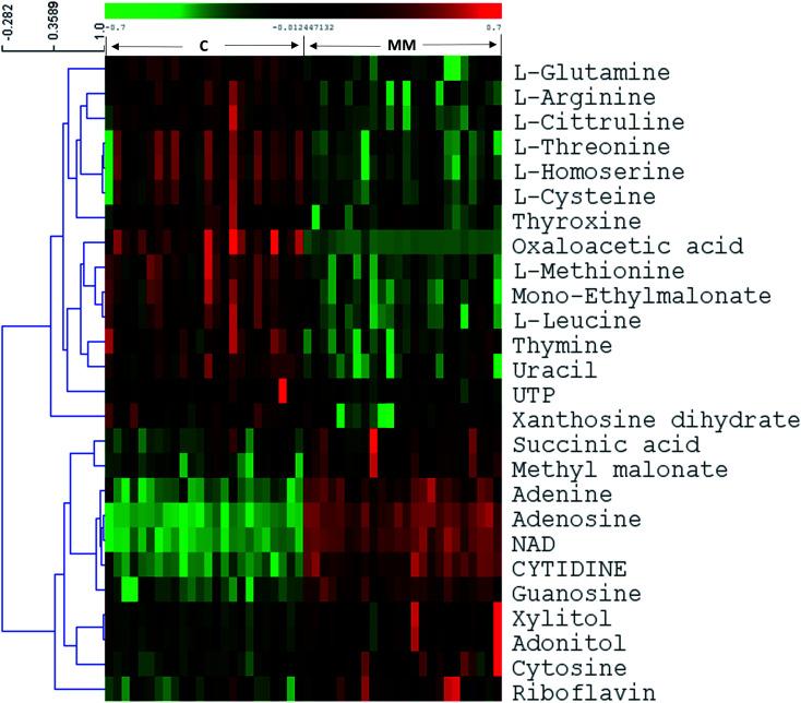 https://cdn.ncbi.nlm.nih.gov/pmc/blobs/d932/9071903/fb39c70640cd/c9ra04458b-f2.jpg