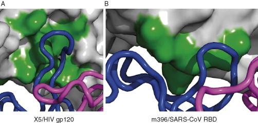 https://cdn.ncbi.nlm.nih.gov/pmc/blobs/d933/7111665/64043a2adc02/gr9.jpg
