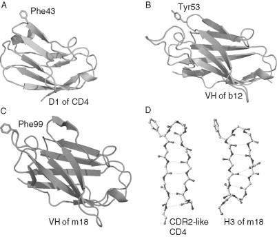 https://cdn.ncbi.nlm.nih.gov/pmc/blobs/d933/7111665/b7031e0f13c6/gr13.jpg
