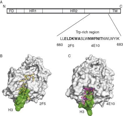 https://cdn.ncbi.nlm.nih.gov/pmc/blobs/d933/7111665/c2e02a03c08a/gr11.jpg