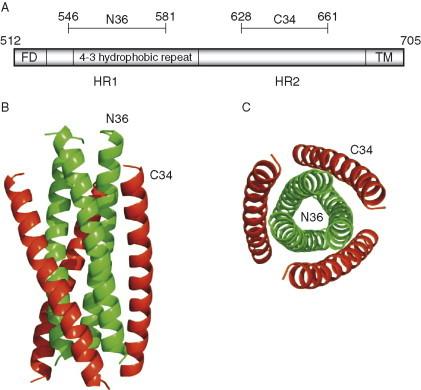 https://cdn.ncbi.nlm.nih.gov/pmc/blobs/d933/7111665/eb8cc1c86bd4/gr6.jpg