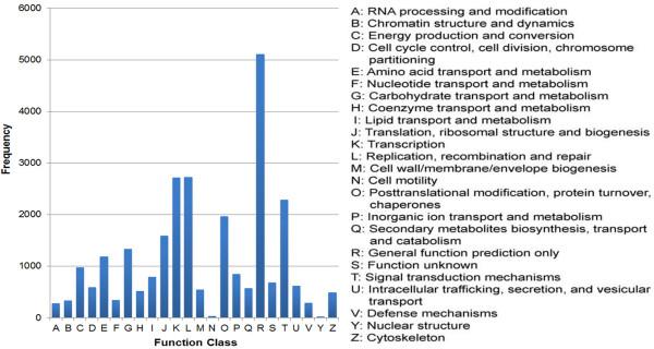 https://cdn.ncbi.nlm.nih.gov/pmc/blobs/d935/4051170/4d53ab229d0a/1471-2164-15-258-4.jpg