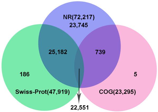 https://cdn.ncbi.nlm.nih.gov/pmc/blobs/d935/4051170/a6c88bf6bba1/1471-2164-15-258-3.jpg