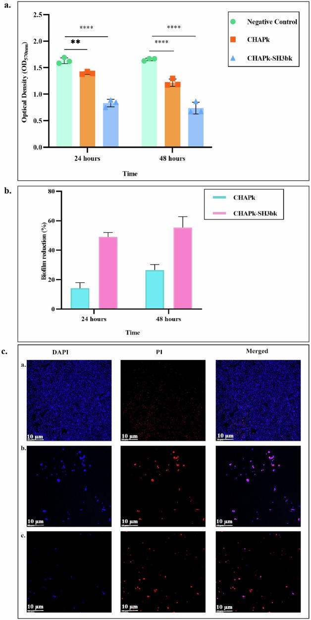 https://cdn.ncbi.nlm.nih.gov/pmc/blobs/d936/12134374/9a61e276c25d/41522_2025_728_Fig3_HTML.jpg