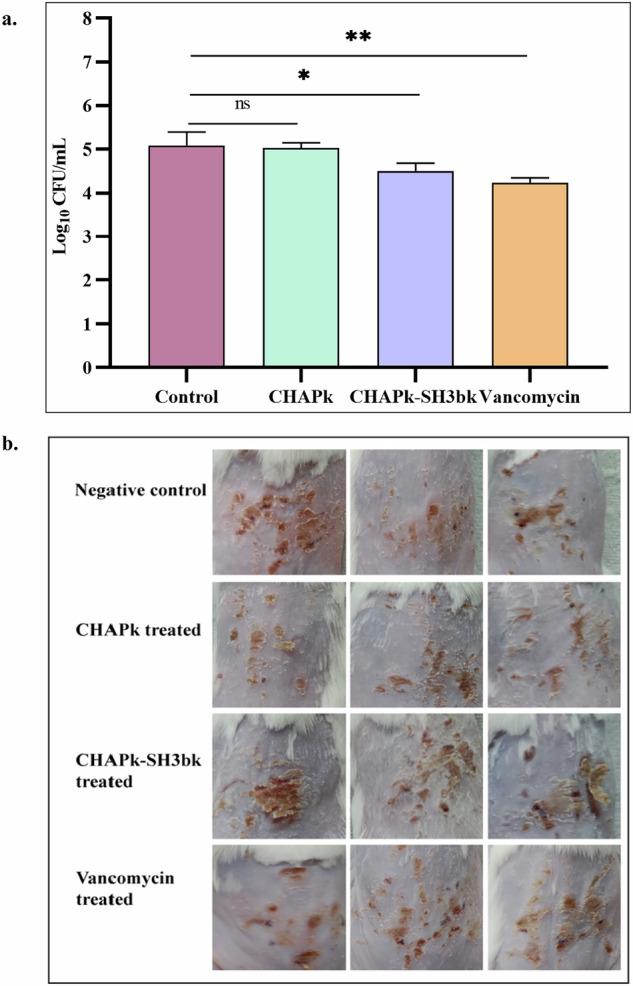 https://cdn.ncbi.nlm.nih.gov/pmc/blobs/d936/12134374/dffa089981eb/41522_2025_728_Fig6_HTML.jpg