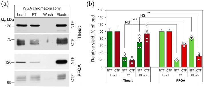 https://cdn.ncbi.nlm.nih.gov/pmc/blobs/d936/12300799/174fe33aa9cb/toxins-17-00359-g003.jpg