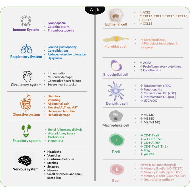 https://cdn.ncbi.nlm.nih.gov/pmc/blobs/d937/10236890/d7a459f6a03e/13223_2023_797_Fig2_HTML.jpg