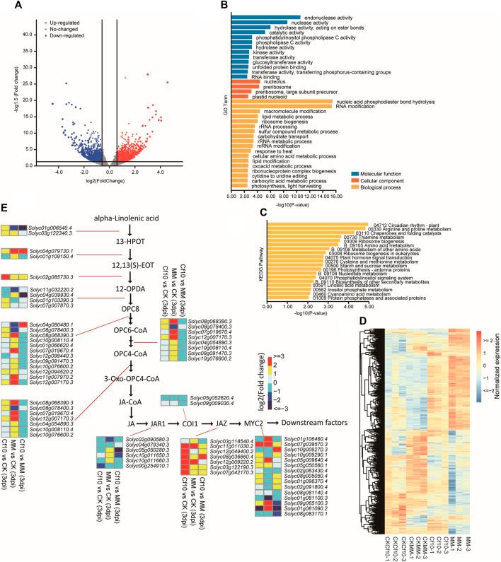 https://cdn.ncbi.nlm.nih.gov/pmc/blobs/d937/10248068/e4ea29db8c71/fgene-14-1158631-g003.jpg