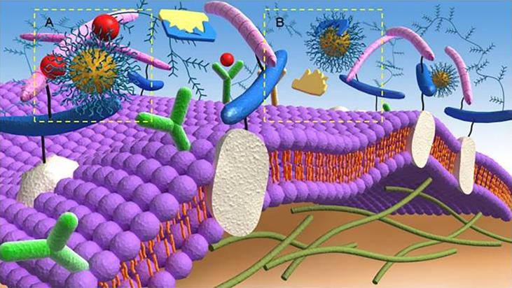 https://cdn.ncbi.nlm.nih.gov/pmc/blobs/d938/8784389/738ed872c65e/fonc-11-789330-g001.jpg