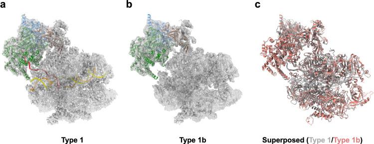 https://cdn.ncbi.nlm.nih.gov/pmc/blobs/d93a/11381523/107ba8dffaf9/41467_2024_52157_Fig4_HTML.jpg