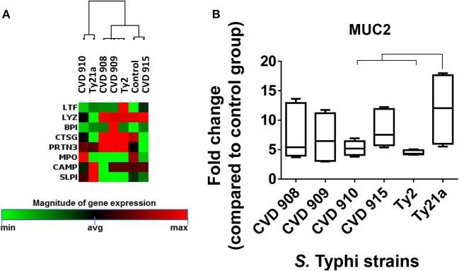 https://cdn.ncbi.nlm.nih.gov/pmc/blobs/d93f/6221971/18813a3084c9/fimmu-09-02543-g0007.jpg
