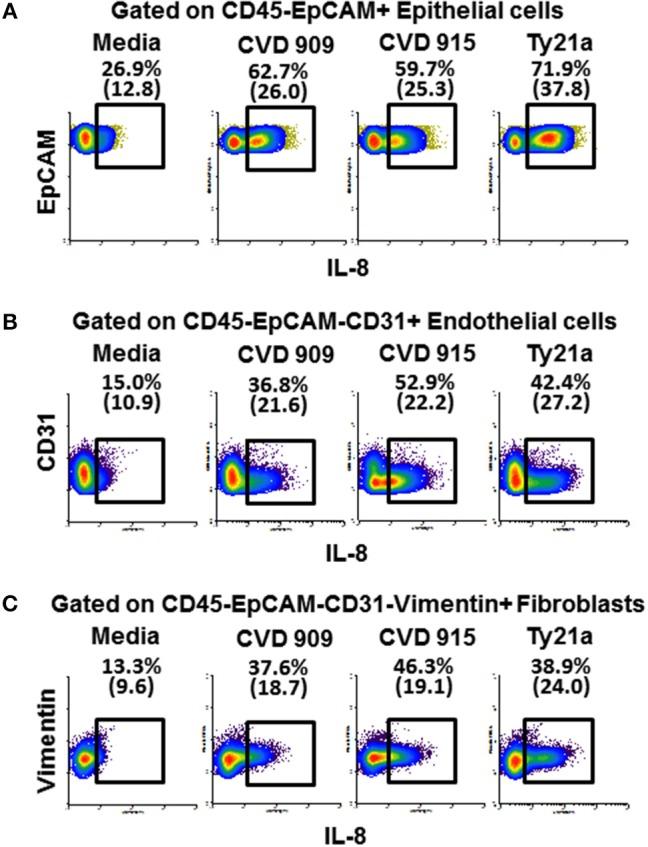 https://cdn.ncbi.nlm.nih.gov/pmc/blobs/d93f/6221971/5169e709f24b/fimmu-09-02543-g0010.jpg