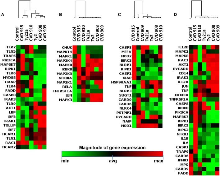 https://cdn.ncbi.nlm.nih.gov/pmc/blobs/d93f/6221971/7e782b46c6bb/fimmu-09-02543-g0006.jpg