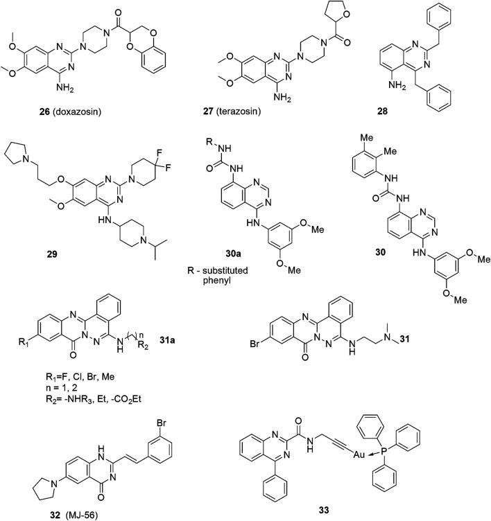 https://cdn.ncbi.nlm.nih.gov/pmc/blobs/d93f/8595829/66777c96e671/fchem-09-765552-g004.jpg