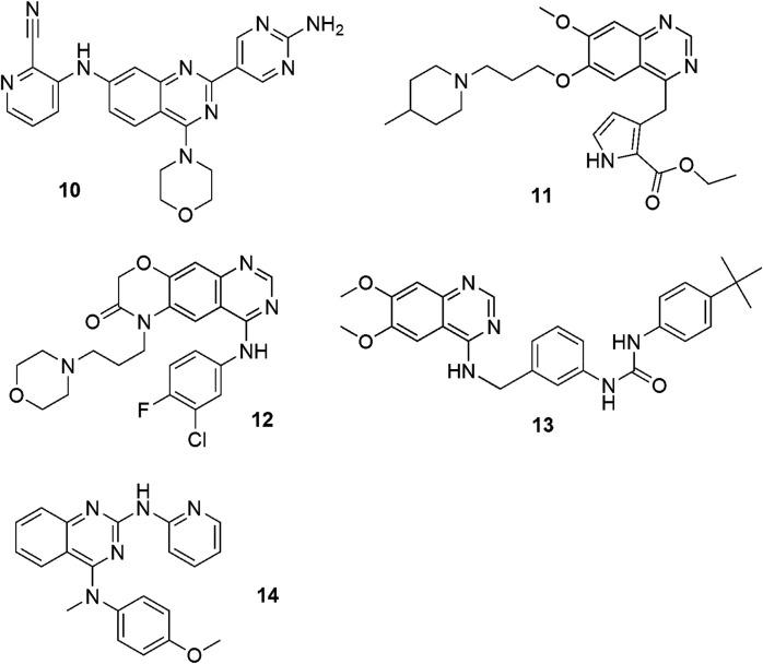 https://cdn.ncbi.nlm.nih.gov/pmc/blobs/d93f/8595829/af75b94d9ce0/fchem-09-765552-g002.jpg