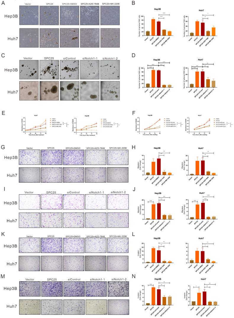 https://cdn.ncbi.nlm.nih.gov/pmc/blobs/d93f/9461674/915f9e62cdec/ijbsv18p5241g006.jpg