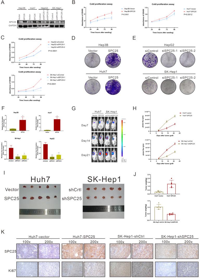 https://cdn.ncbi.nlm.nih.gov/pmc/blobs/d93f/9461674/afb14201f9cf/ijbsv18p5241g002.jpg