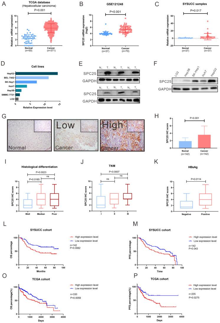 https://cdn.ncbi.nlm.nih.gov/pmc/blobs/d93f/9461674/cc4fe31a633d/ijbsv18p5241g001.jpg