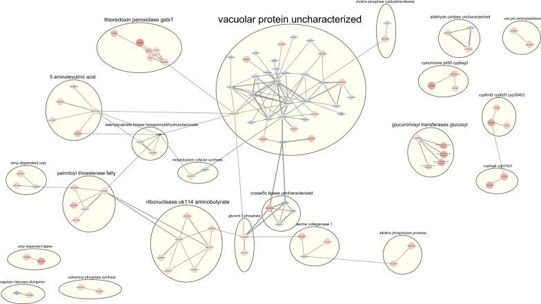 https://cdn.ncbi.nlm.nih.gov/pmc/blobs/d942/12076995/4fed2e5dc81d/13071_2025_6675_Fig3_HTML.jpg