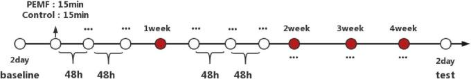 https://cdn.ncbi.nlm.nih.gov/pmc/blobs/d943/12318969/1f92dfe26263/fmed-12-1614054-g004.jpg