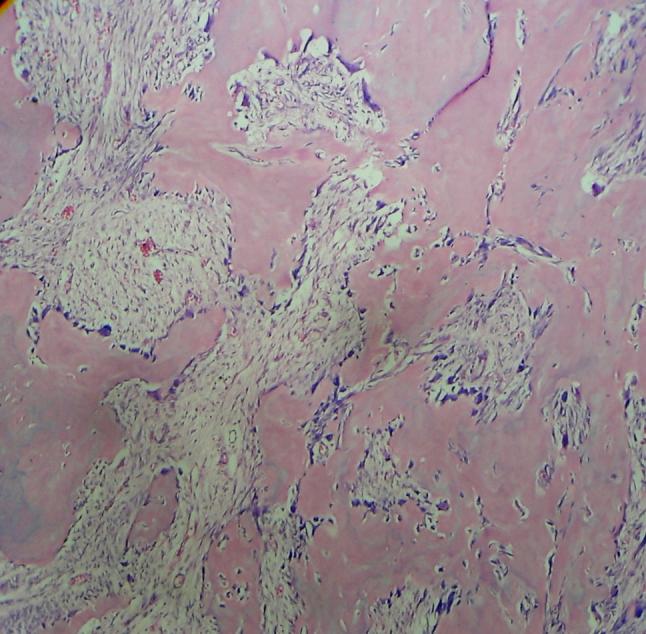 https://cdn.ncbi.nlm.nih.gov/pmc/blobs/d943/6395228/b74e91510dc8/gr4.jpg