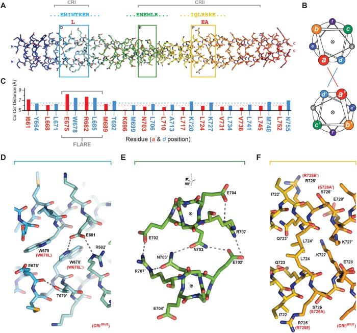 https://cdn.ncbi.nlm.nih.gov/pmc/blobs/d945/5996958/d864684e9d1e/mbc-29-285-g002.jpg
