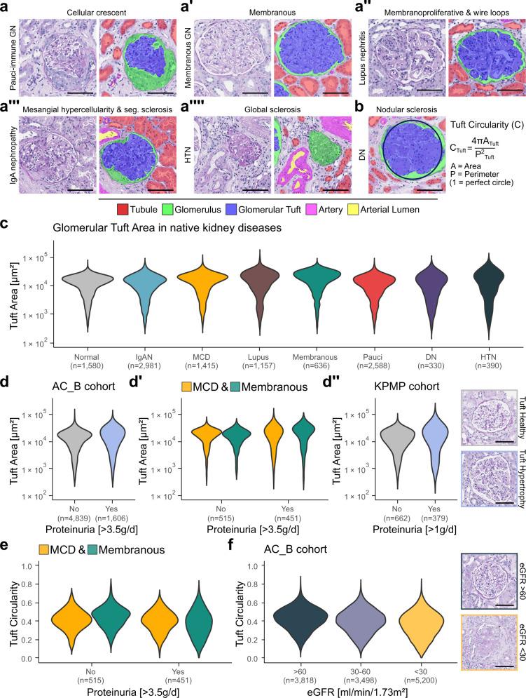 https://cdn.ncbi.nlm.nih.gov/pmc/blobs/d945/9884209/42c6b2802be0/41467_2023_36173_Fig2_HTML.jpg