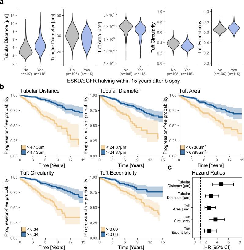https://cdn.ncbi.nlm.nih.gov/pmc/blobs/d945/9884209/56f206b09e3a/41467_2023_36173_Fig4_HTML.jpg
