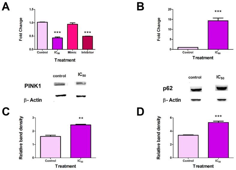 https://cdn.ncbi.nlm.nih.gov/pmc/blobs/d946/8954924/6f1363da94be/toxins-14-00171-g006.jpg