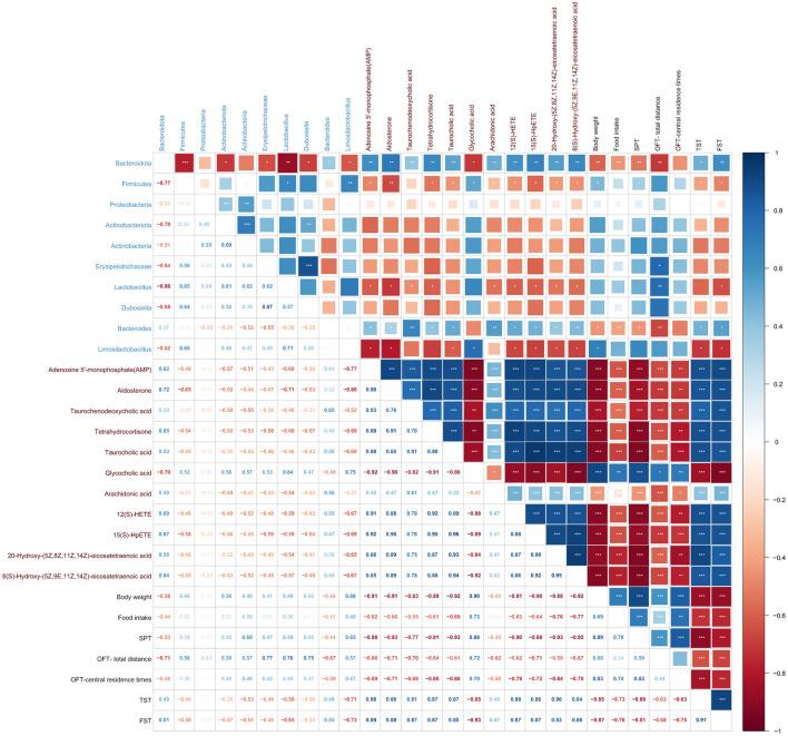 https://cdn.ncbi.nlm.nih.gov/pmc/blobs/d947/12119544/9319a4b4aa89/fmicb-16-1558833-g0008.jpg