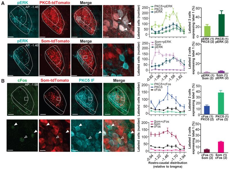 https://cdn.ncbi.nlm.nih.gov/pmc/blobs/d948/6816228/e5300a81a9e4/nihms-1055398-f0002.jpg