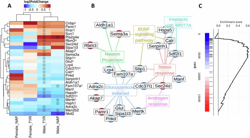 https://cdn.ncbi.nlm.nih.gov/pmc/blobs/d949/12092271/44d5159f454c/41380_2024_2879_Fig3_HTML.jpg