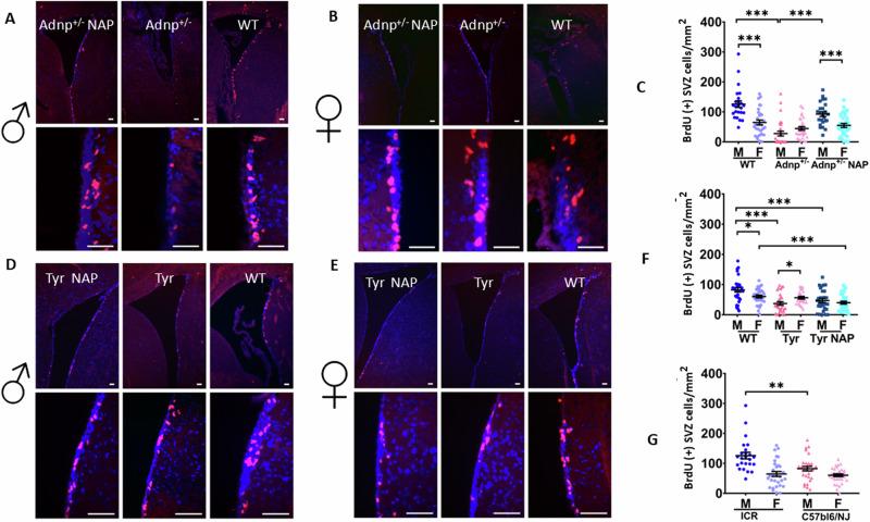 https://cdn.ncbi.nlm.nih.gov/pmc/blobs/d949/12092271/7f5e0c54f746/41380_2024_2879_Fig1_HTML.jpg
