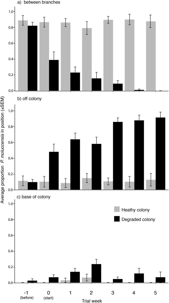 https://cdn.ncbi.nlm.nih.gov/pmc/blobs/d949/5958076/4fd08e0dd35f/41598_2018_26090_Fig2_HTML.jpg