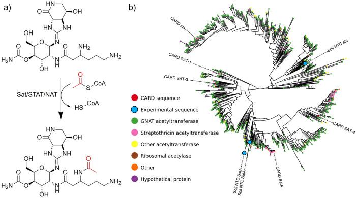 https://cdn.ncbi.nlm.nih.gov/pmc/blobs/d94a/11702664/9b08159cd551/44259_2023_20_Fig5_HTML.jpg