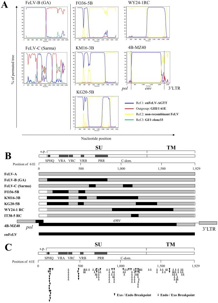 https://cdn.ncbi.nlm.nih.gov/pmc/blobs/d94a/3623909/361f4eff08a6/pone.0061009.g005.jpg