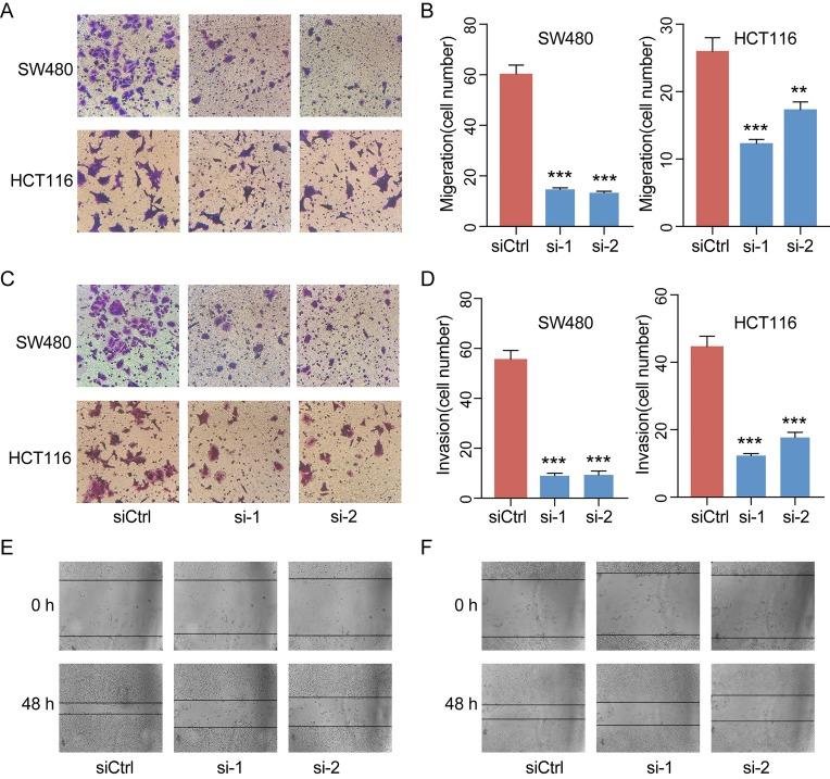 https://cdn.ncbi.nlm.nih.gov/pmc/blobs/d94b/6779110/42bc8a0b21c1/fgene-10-00880-g007.jpg