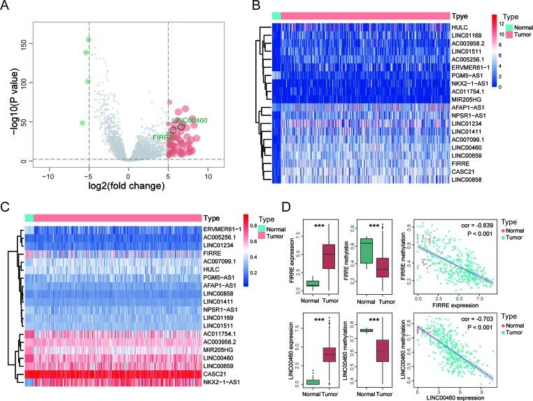 https://cdn.ncbi.nlm.nih.gov/pmc/blobs/d94b/6779110/fa7e081a16fd/fgene-10-00880-g001.jpg