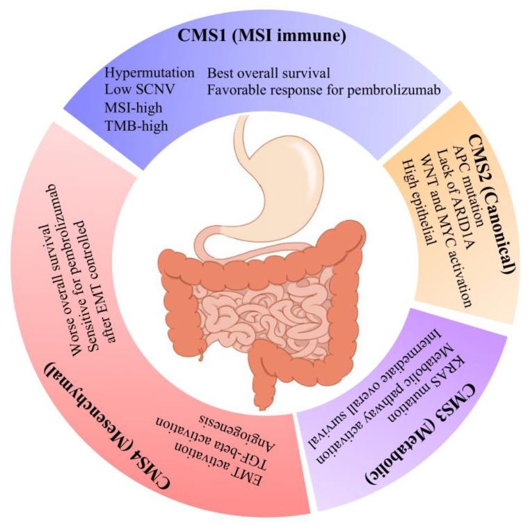 https://cdn.ncbi.nlm.nih.gov/pmc/blobs/d94d/9367605/89f2f0ccac2d/cancers-14-03740-g007.jpg
