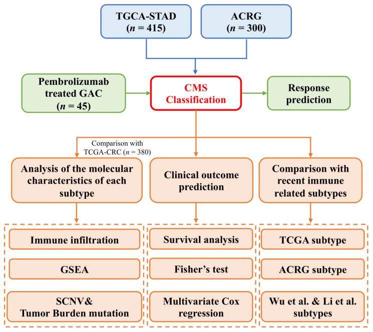 https://cdn.ncbi.nlm.nih.gov/pmc/blobs/d94d/9367605/bcc2937dbb26/cancers-14-03740-g001.jpg