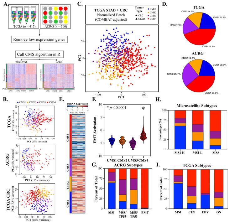 https://cdn.ncbi.nlm.nih.gov/pmc/blobs/d94d/9367605/c7754d9db4a1/cancers-14-03740-g002.jpg