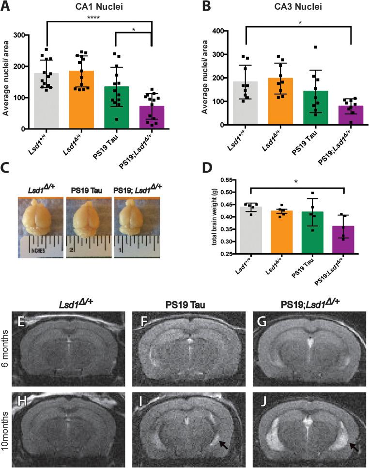 https://cdn.ncbi.nlm.nih.gov/pmc/blobs/d94e/7682552/86c5754cf70c/pnas.2013552117fig03.jpg