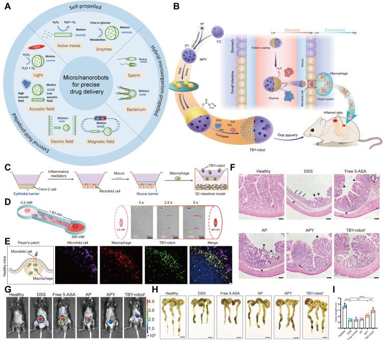 https://cdn.ncbi.nlm.nih.gov/pmc/blobs/d952/11375318/7ab0fa867aec/gr9.jpg